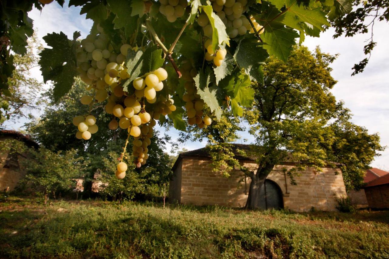 "Pivnica I Smestaj Jovanovic"- Rogljevacke Pivnice Rogljevo Экстерьер фото
