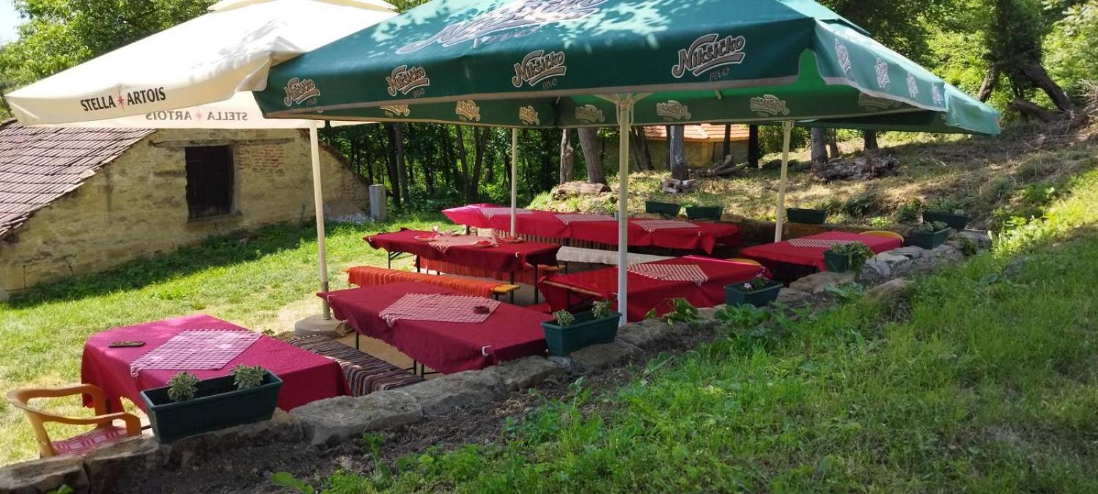 "Pivnica I Smestaj Jovanovic"- Rogljevacke Pivnice Rogljevo Экстерьер фото